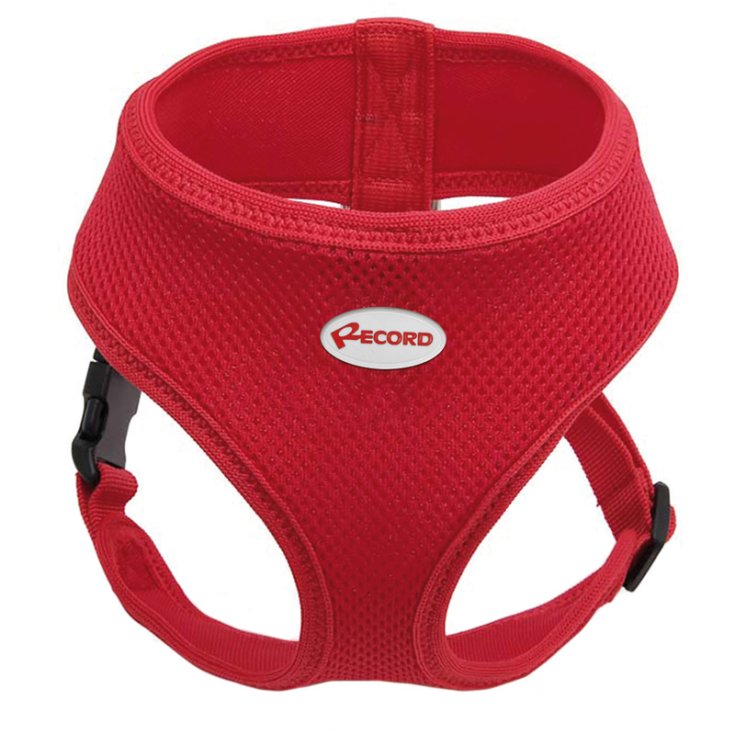 RECORD FAST DOG PETTORINA ROSSO M 28-33/