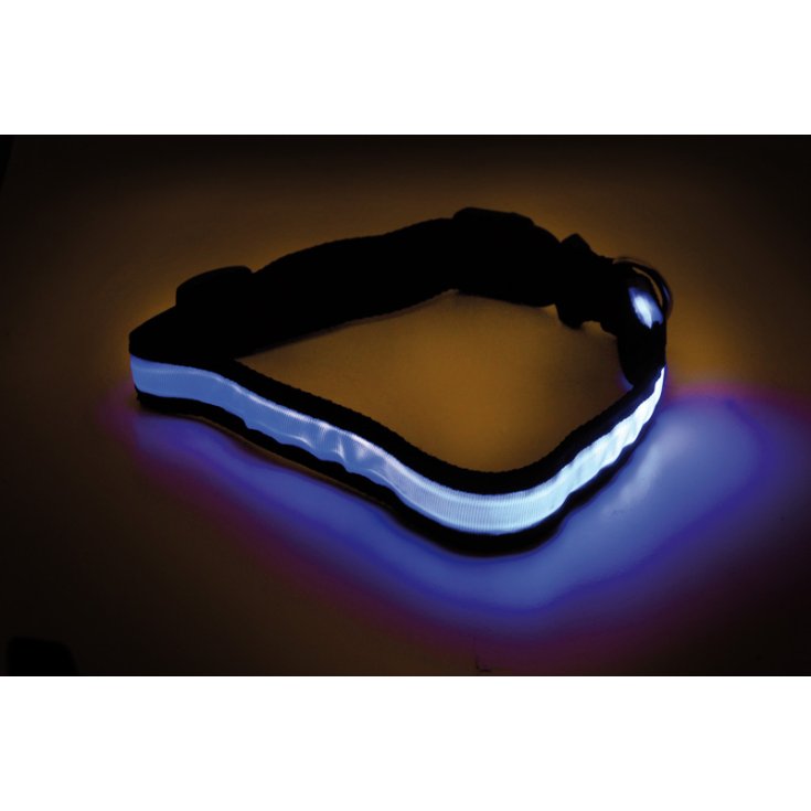 Record LED COLLARE COLORI ASSORTITI L 2,