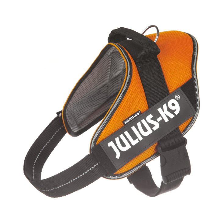 Pettorina Estiva Arancione Tg.XL&nbsp;Powair Julius-K9