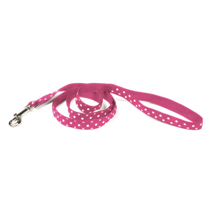RECORD POIS GUINZAGLIO NYLON ROSA 1X120