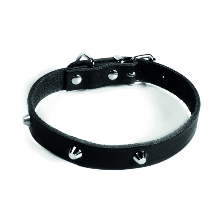 RECORD COLLARE CON BORCHIE NERO 4X65 CM