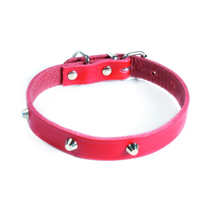 RECORD COLLARE CON BORCHIE ROSSO 4X65 CM