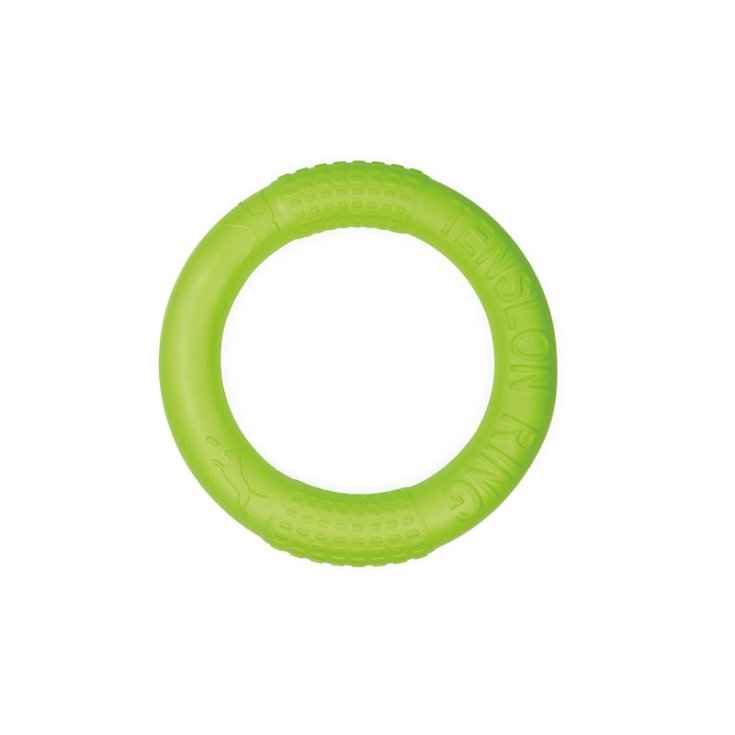 RECORD GIOCO GALLEGGIANTE ANELLO VERDE S