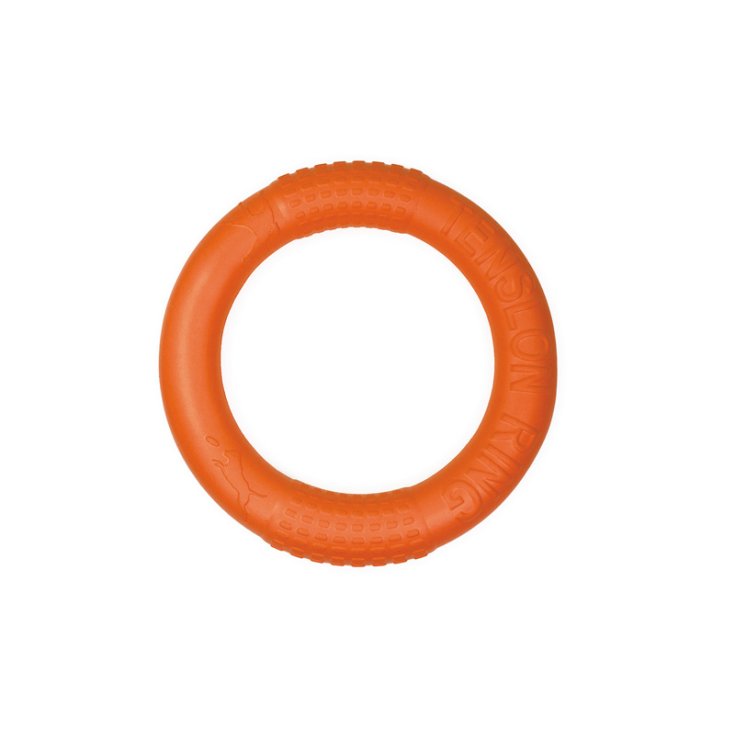RECORD GIOCO GALLEGGIANTE ANELLO ARANCIO