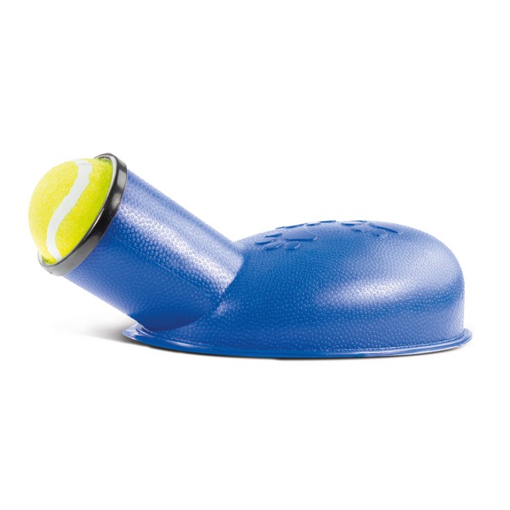 RECORD BANG BALL SPARAPALLINA