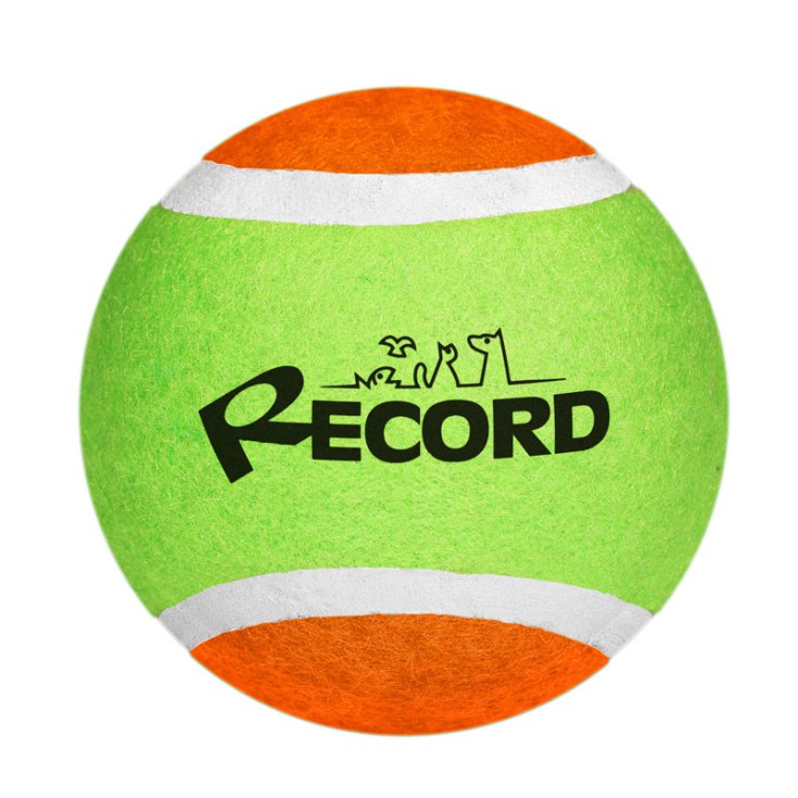 RECORD TENNIS FUN PALLA DA TENNIS VERDE