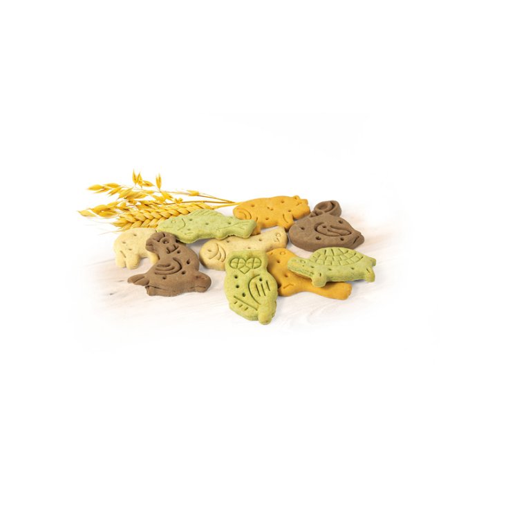 RECORD BISCODOG BISCOTTI CANE MIX FATTOR