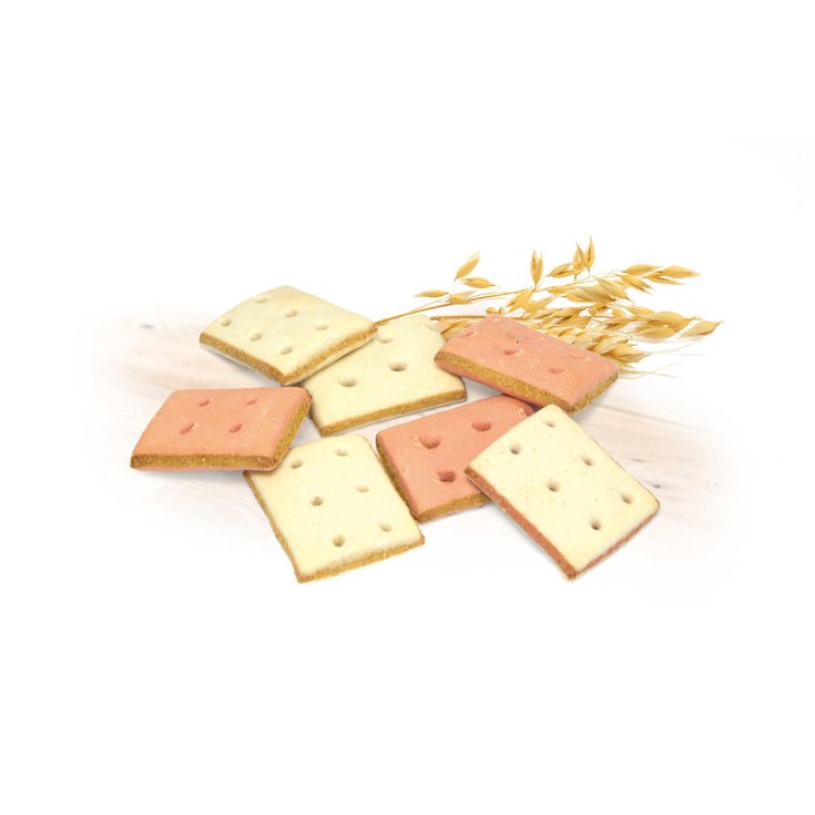 RECORD BISCODOG BISCOTTI CANE SANDWICH C