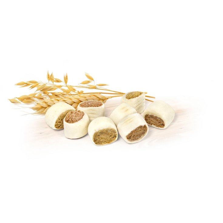 RECORD BISCODOG BISCOTTI CANE ROLLIES 40