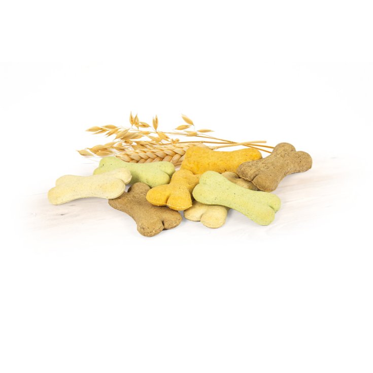 RECORD BISCODOG BISCOTTI CANE MINI MIX 1