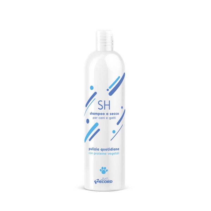 RECORD SHAMPOO SECCO LIQUIDO