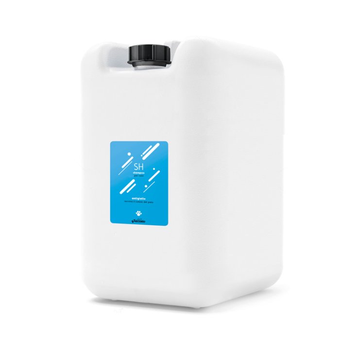 RECORD COLOUR SPECIALIST SHAMPOO 10 L