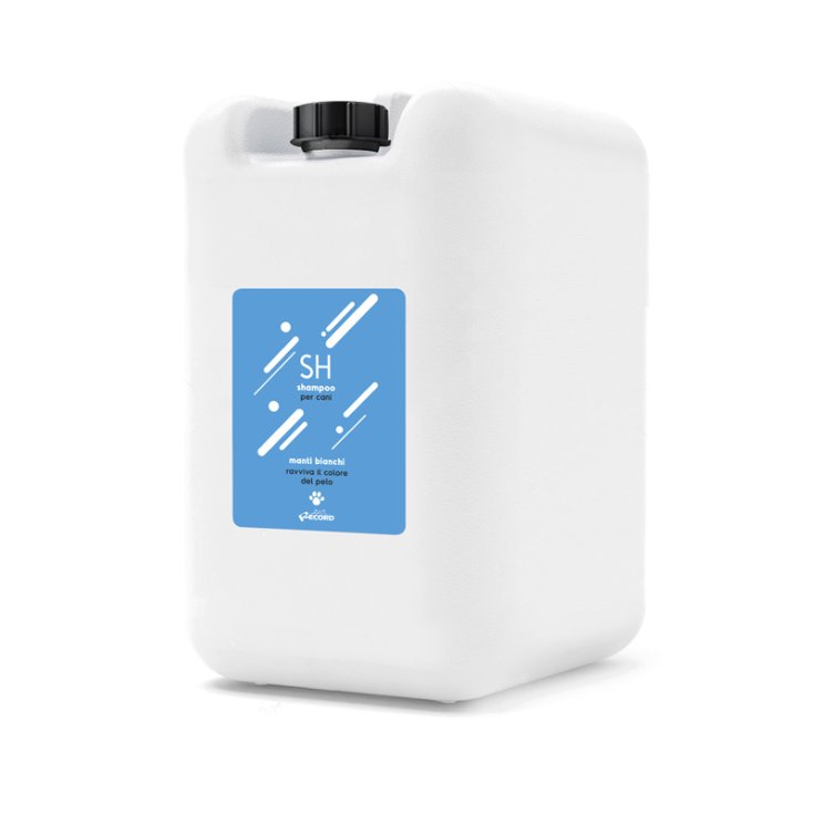 RECORD COLOUR SPECIALIST SHAMPOO 5 L MAN