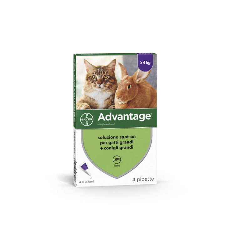 Advantage Spot On Gatti/Conigli - 4X80 mg | 4 x 0,8ML