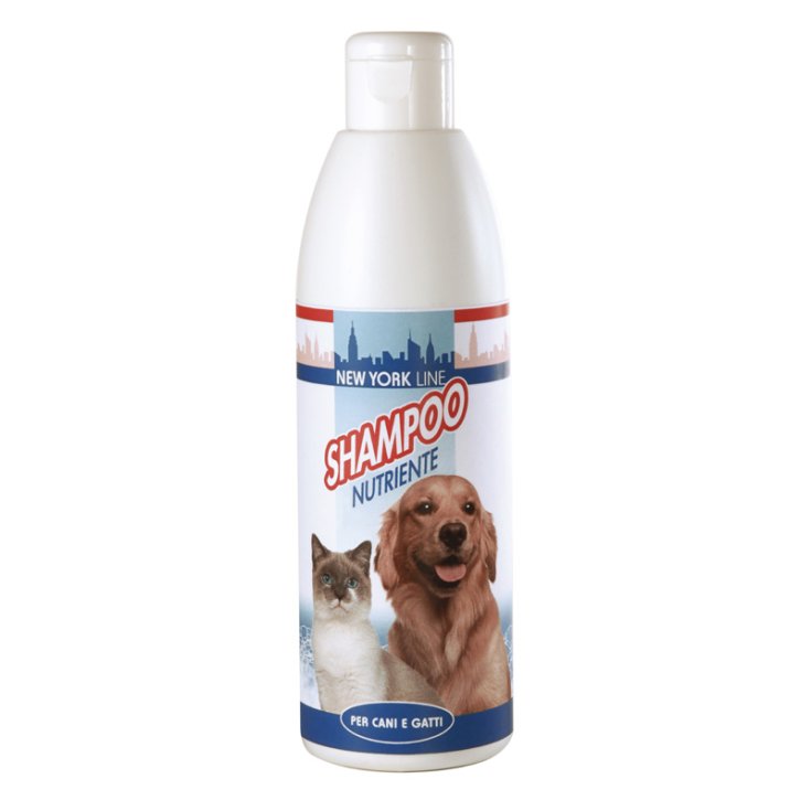 RECORD NEW YORK SHAMPOO 0,25 L NUTRIENTE