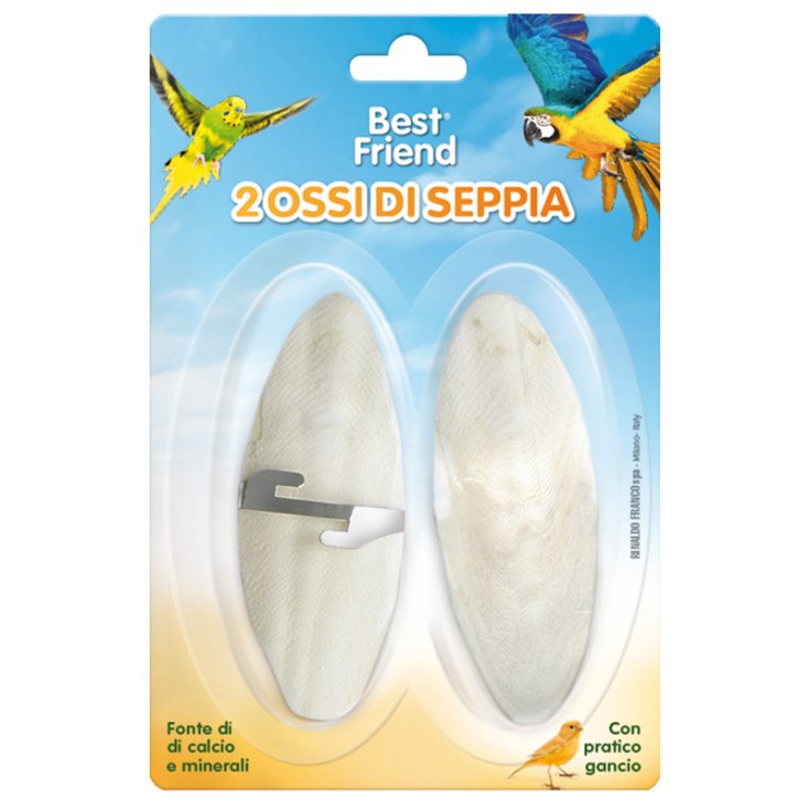 BEST FRIEND 2 PEZZI 2 OSSI DI SEPPIA 10