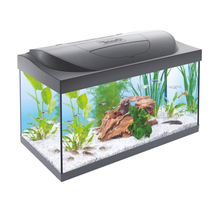 TETRA ACQUARIO STARTER NERO 54 L