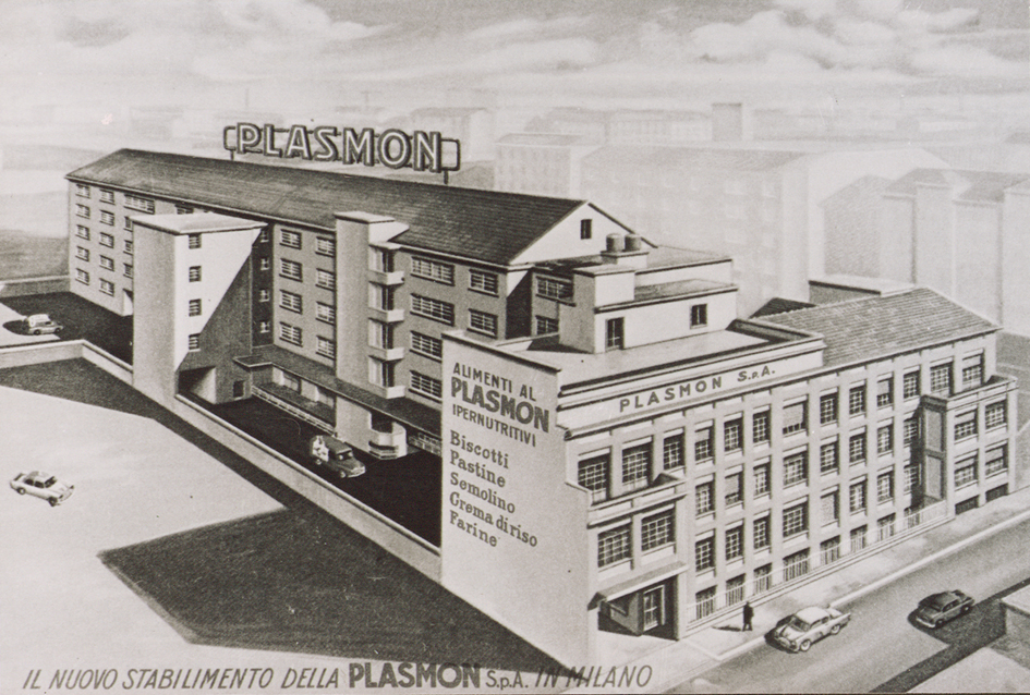 Ditta Plasmon